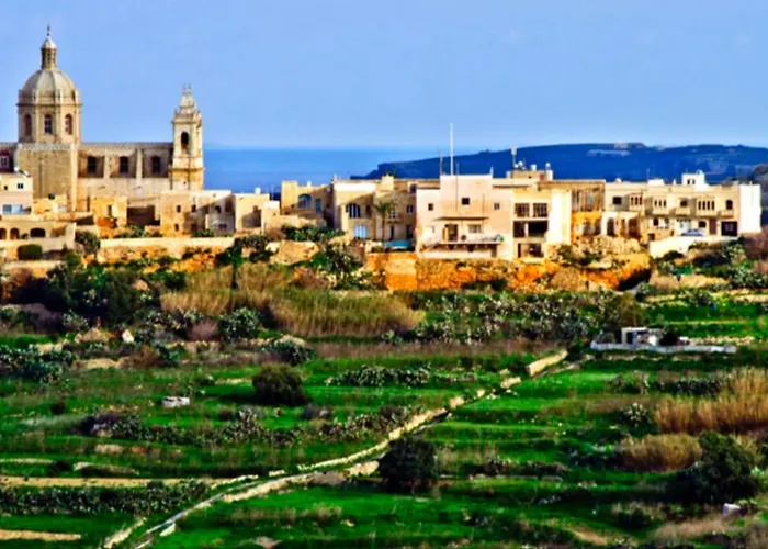 Brooklyn Zebbug (Gozo)
